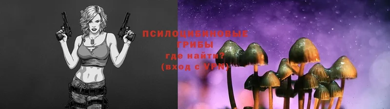 Псилоцибиновые грибы Magic Shrooms  Армавир 