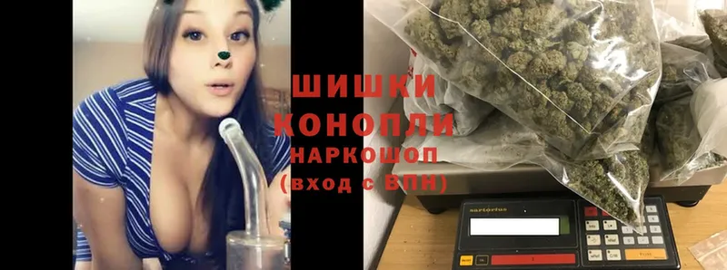 Конопля OG Kush  Армавир 